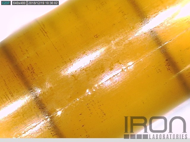 Sample #113904