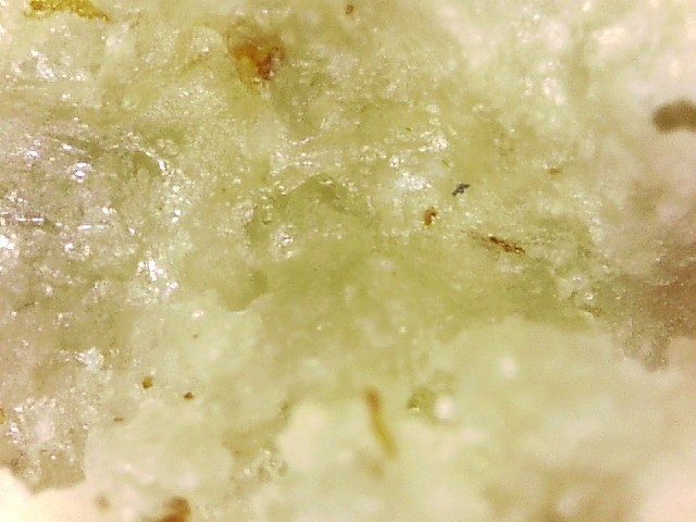 Sample #12683