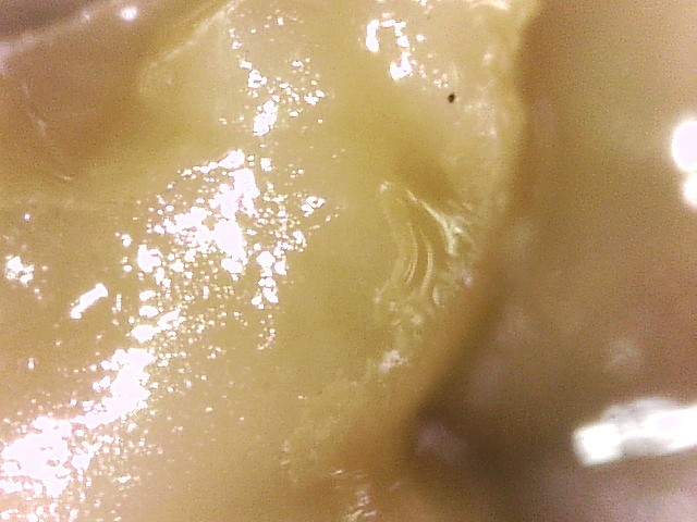 Sample #14484