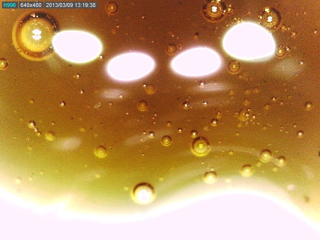 Sample #6815