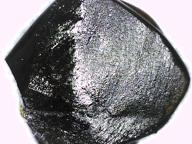 Sample #13833