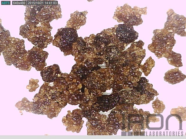 Sample #72781