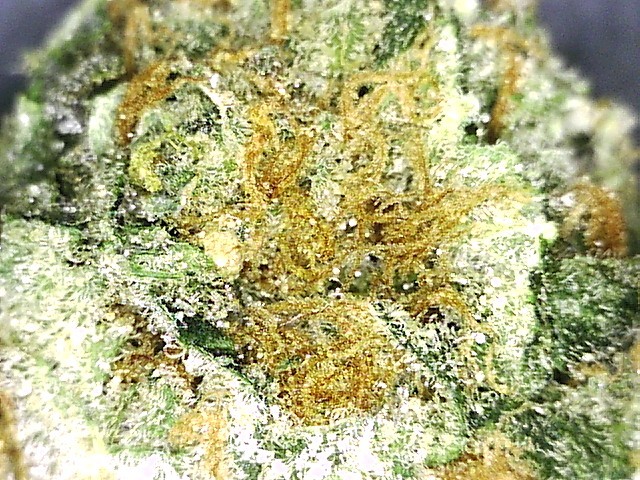 Sample #4822