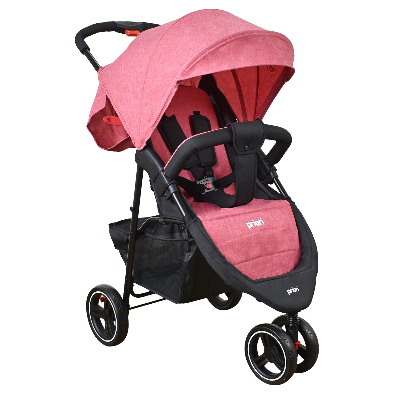 TRENTO TS ROSA (2)