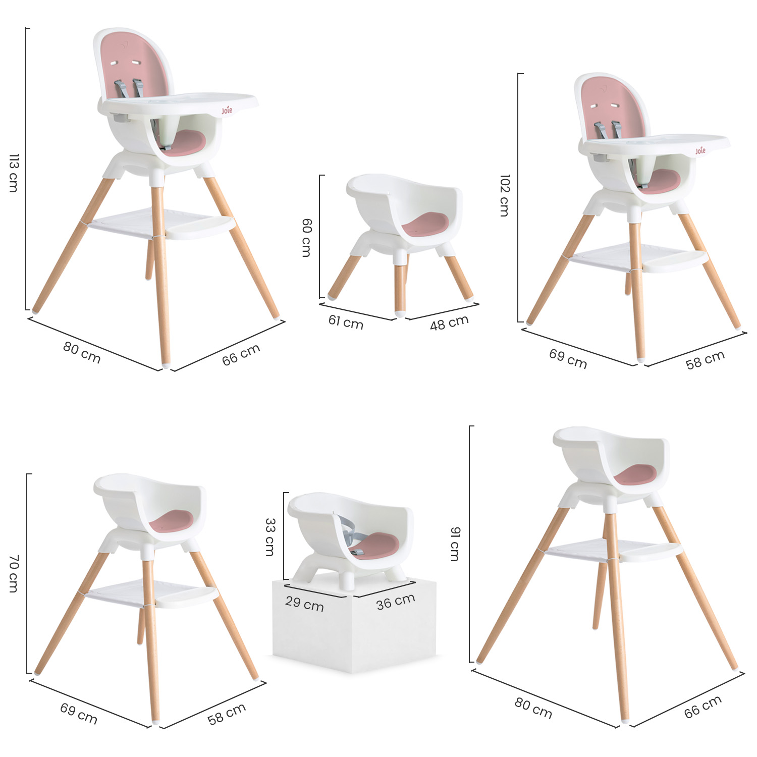 CHESTNUT LOLA IMAGEN (1) (1) CHESTNUT LOLA IMAGEN (1) (1)
