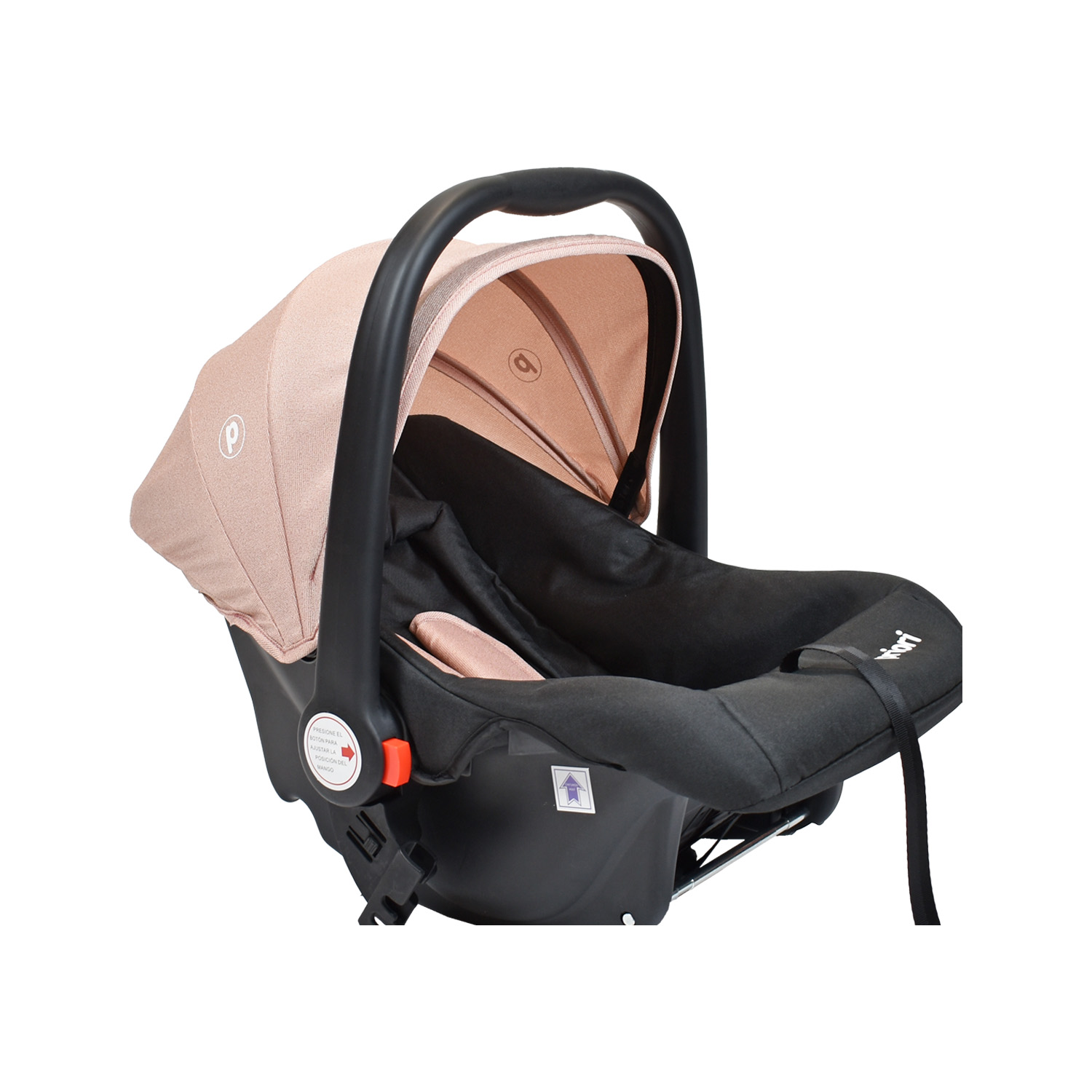 LUCA TS ROSA (11) (1)