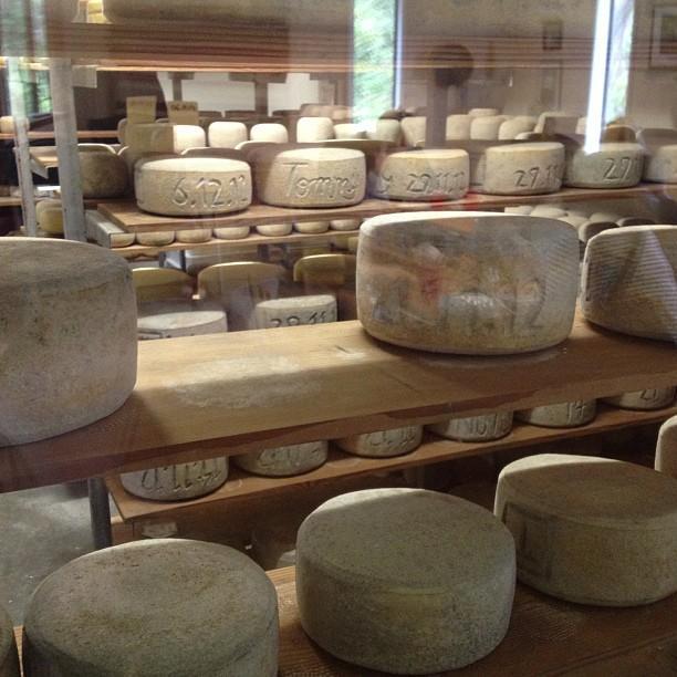 Bruny Island Cheese Company restaurant