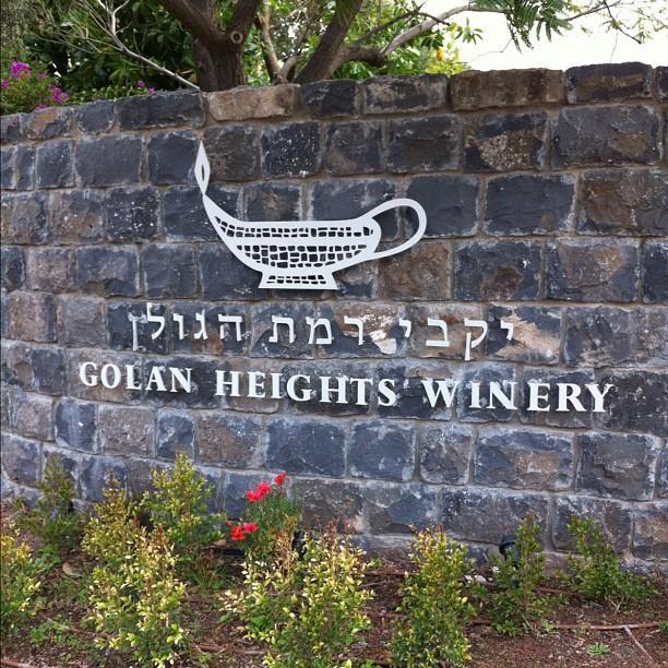 Golan Heights Winery (יקבי רמת הגולן) restaurant