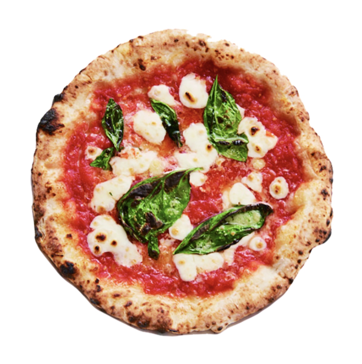 Pizzeria Grill Bacco 大森 東京 イタリアン 地域共通クーポン Goo地図