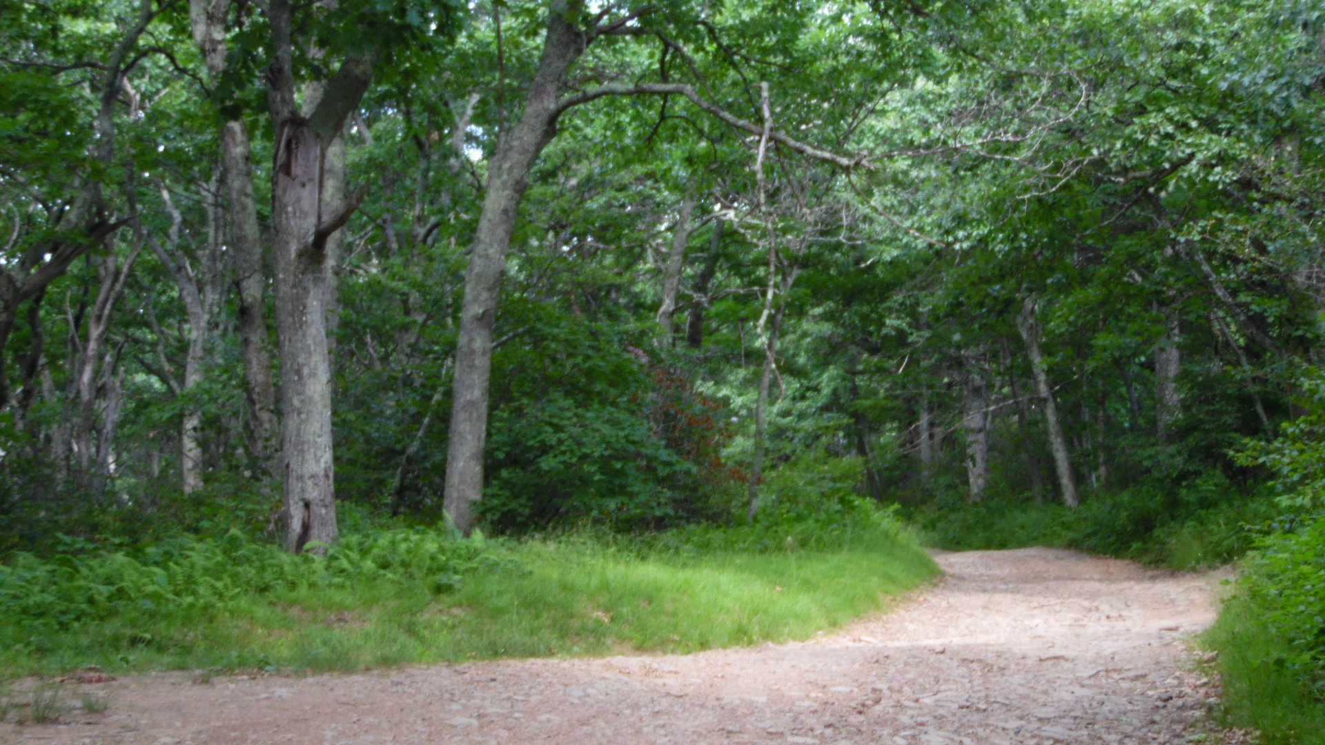 Offroad Trails in Virginia