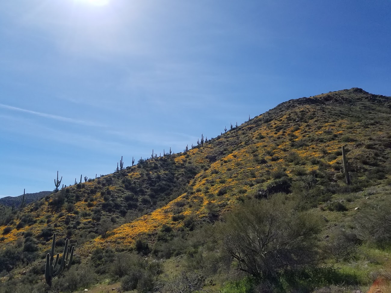 Bloody Basin Road Arizona Offroad Trail