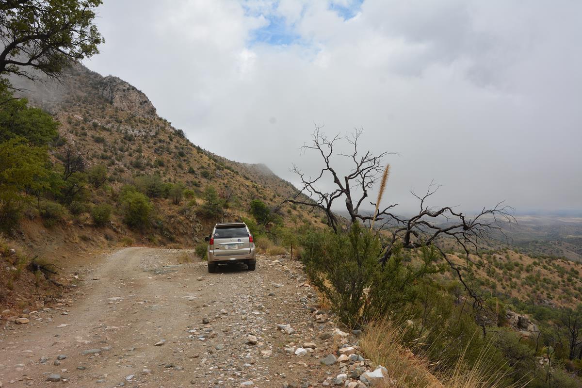Mount Lemmon Control Road Arizona Offroad Trail