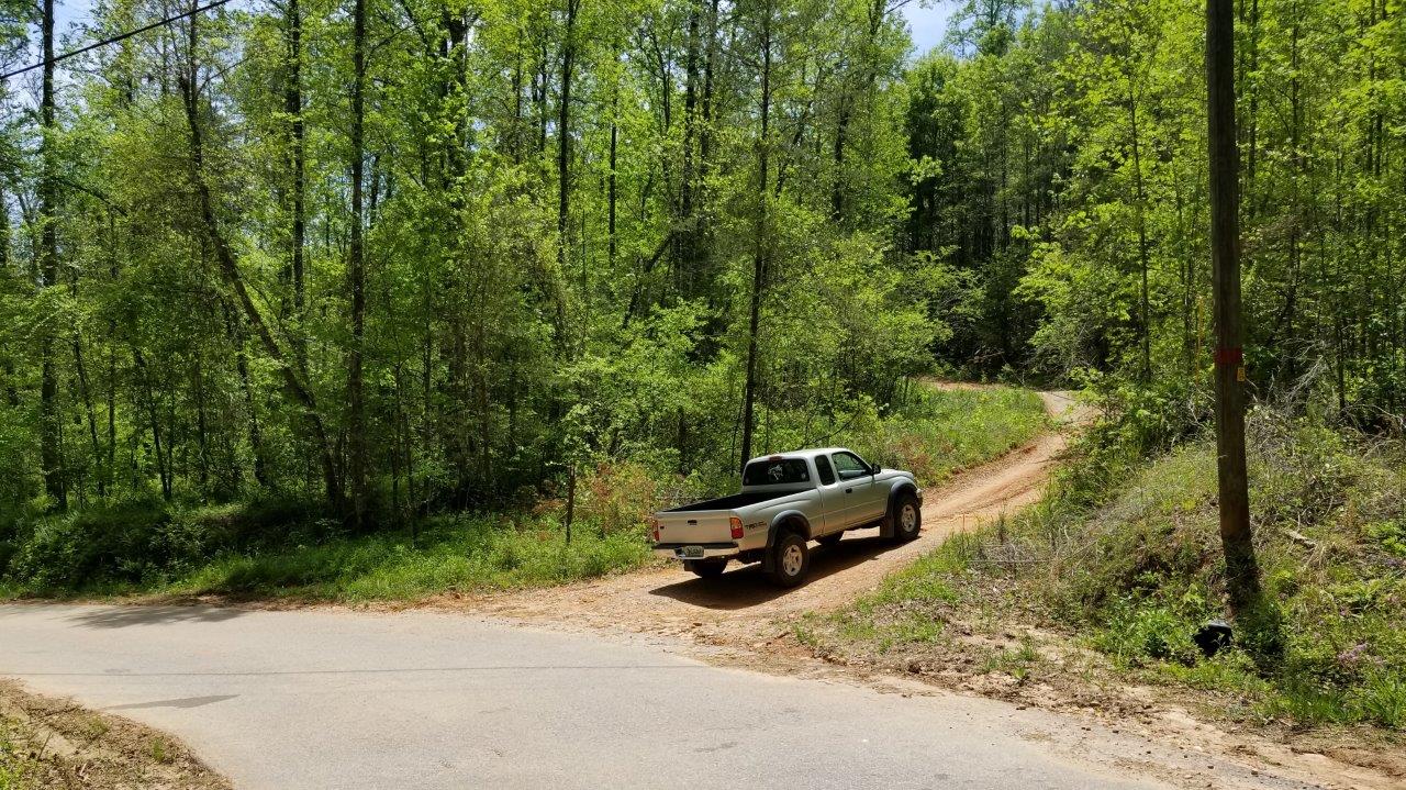 Forest Service Road 98 Offroad Trail