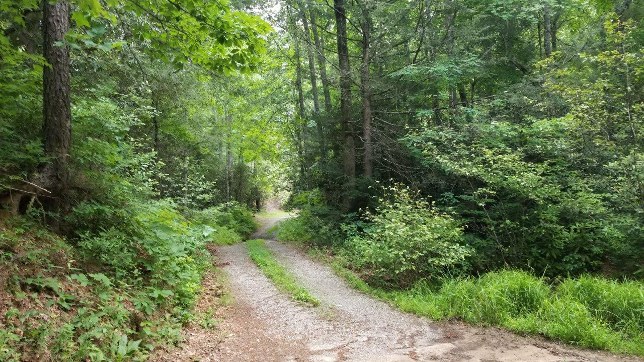 Finney Creek Road Offroad Trail