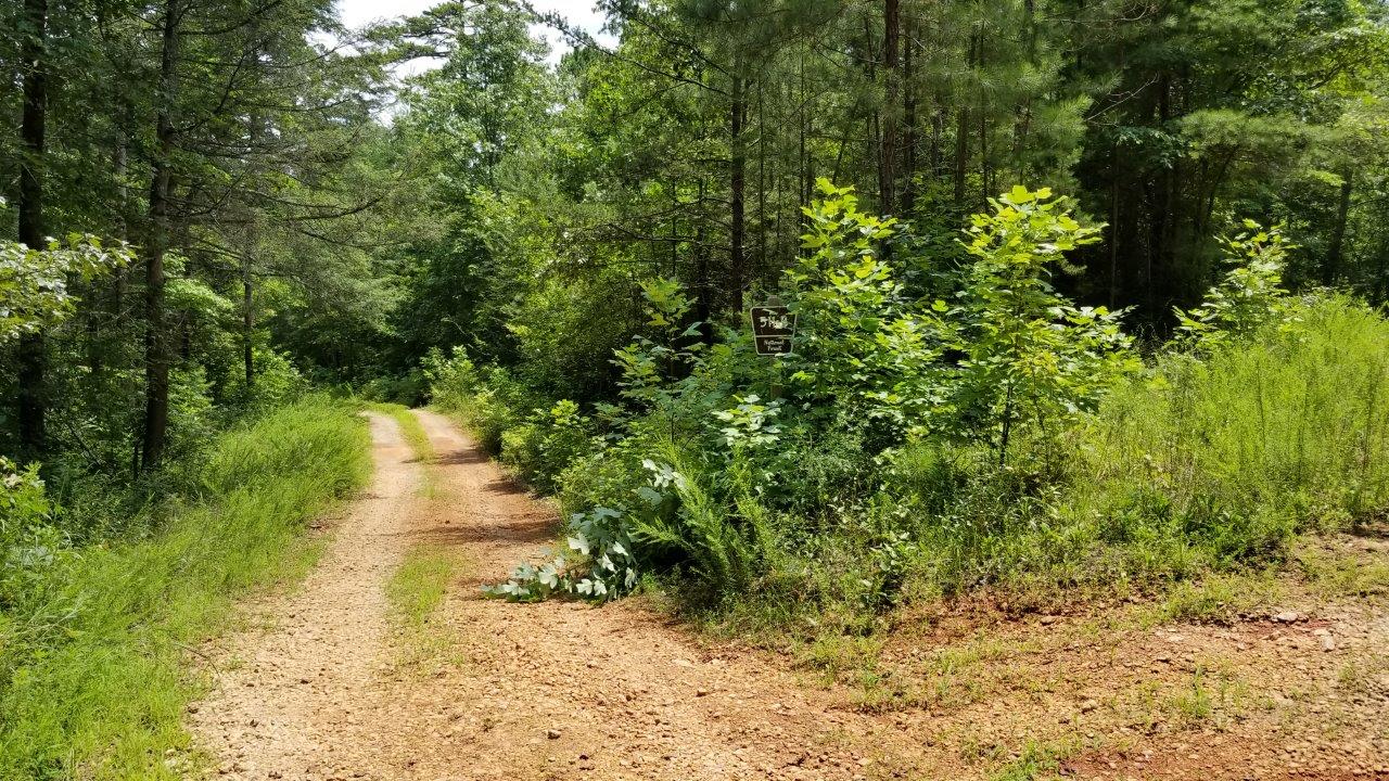 Raven Rock Road Offroad Trail