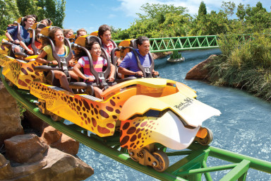 Busch Gardens Tampa Bay Buy Discount Tickets Tours And