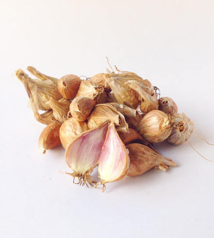 French Grey Shallots