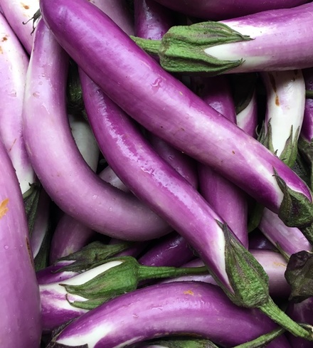 Oriental Eggplant