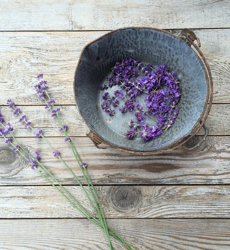Lavender