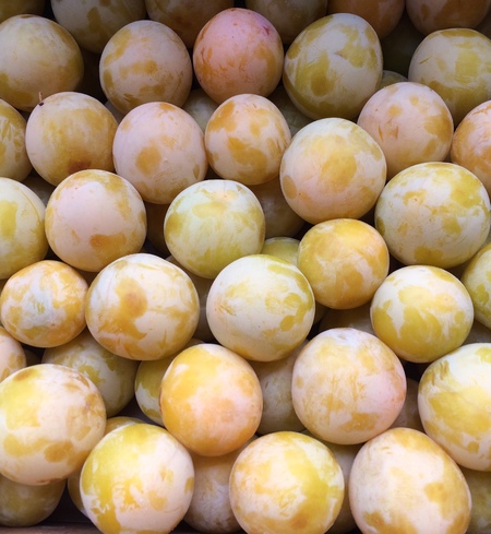 Plums, Shiro