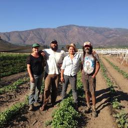 Solidarity Farm