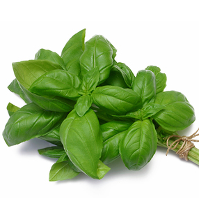 Organic Basil
