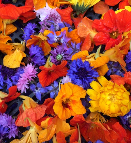 edible flowers, bulk