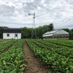 Seminary Hill Farm S Store
