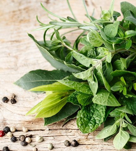Urban Farm Mixed Herbs