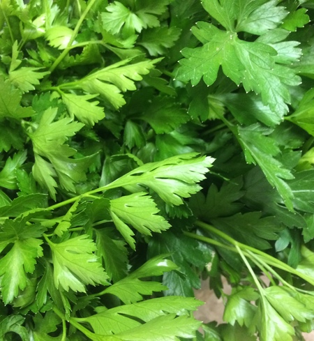 Herb, parsley