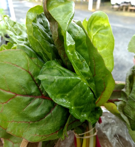 Multicolor Swiss Chard