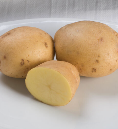 Potato, Yukon Gold