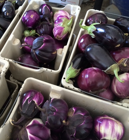 Eggplant
