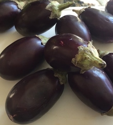 Mini Eggplants