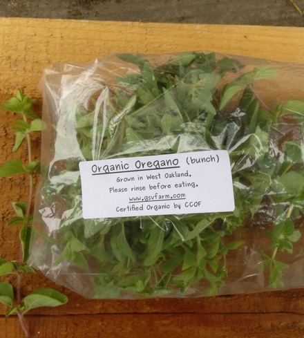 Organic Oregano