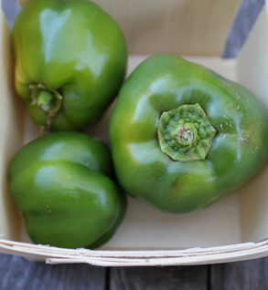 Peppers, Green Bell - Organic