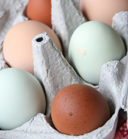 Farm Fresh Eggs
