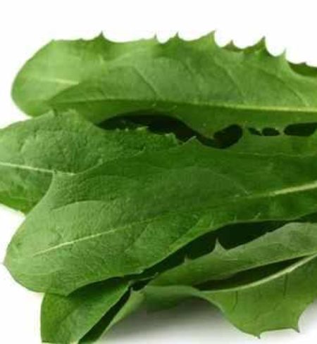 Dandelion Greens