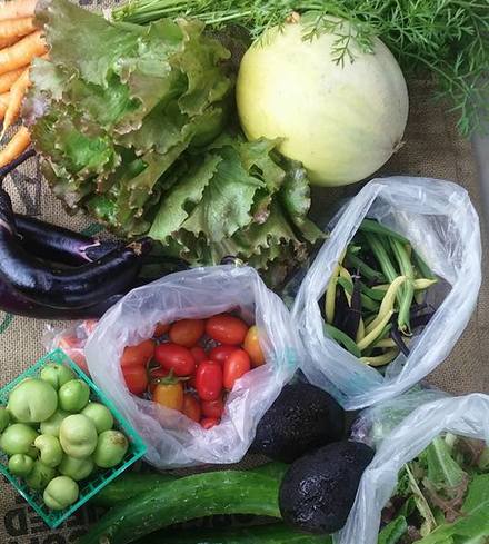 Small Farm Box (Fallbrook)