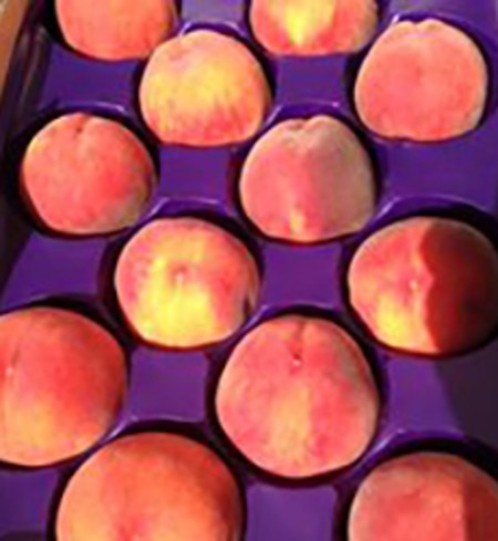 O'Henry Peaches