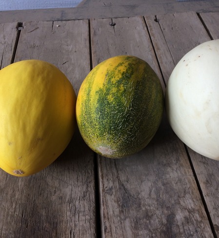 Honeydew, Mixed