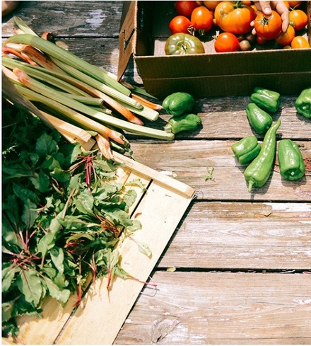 Astro Arugula