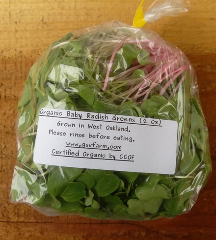 Organic Baby Radish Greens