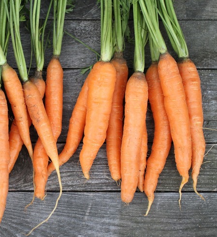 Carrots