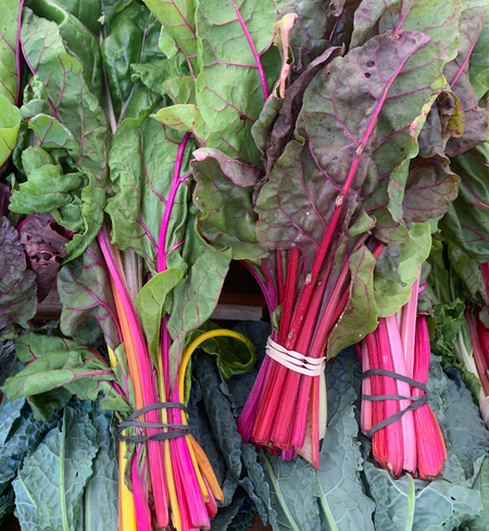 Chard, Swiss