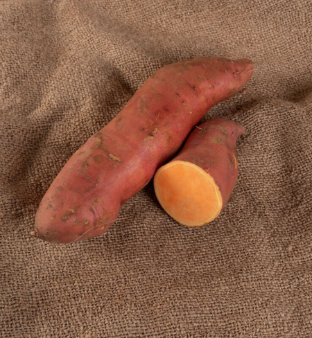 Potato, Sweet