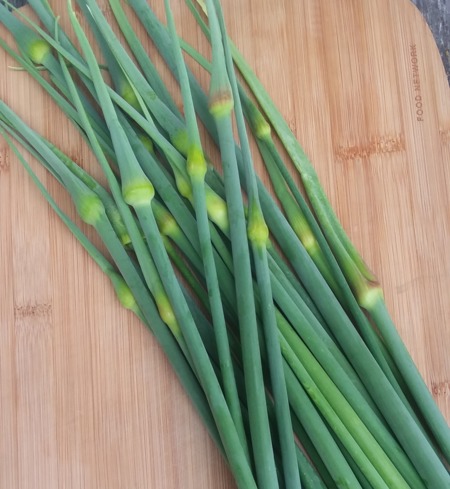 Leek Scapes
