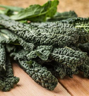 Greens, Lacinato Kale - Organic