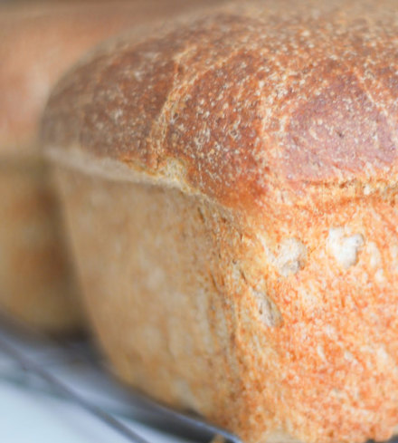 Gluten Free Vegan Type O-A