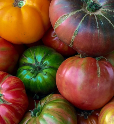 Tomatoes, Heirloom
